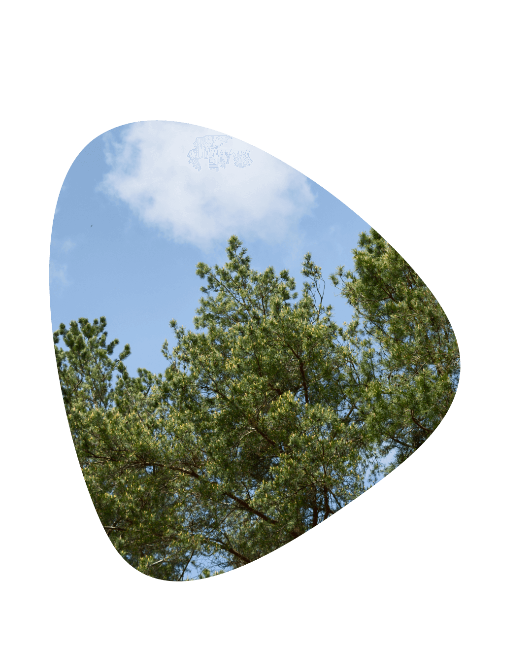 MacPaw Village MacPaw Village